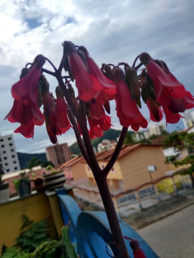 Apartamento Com Piscina Na Martim De Sa คารากัวตาตูบา ภายนอก รูปภาพ